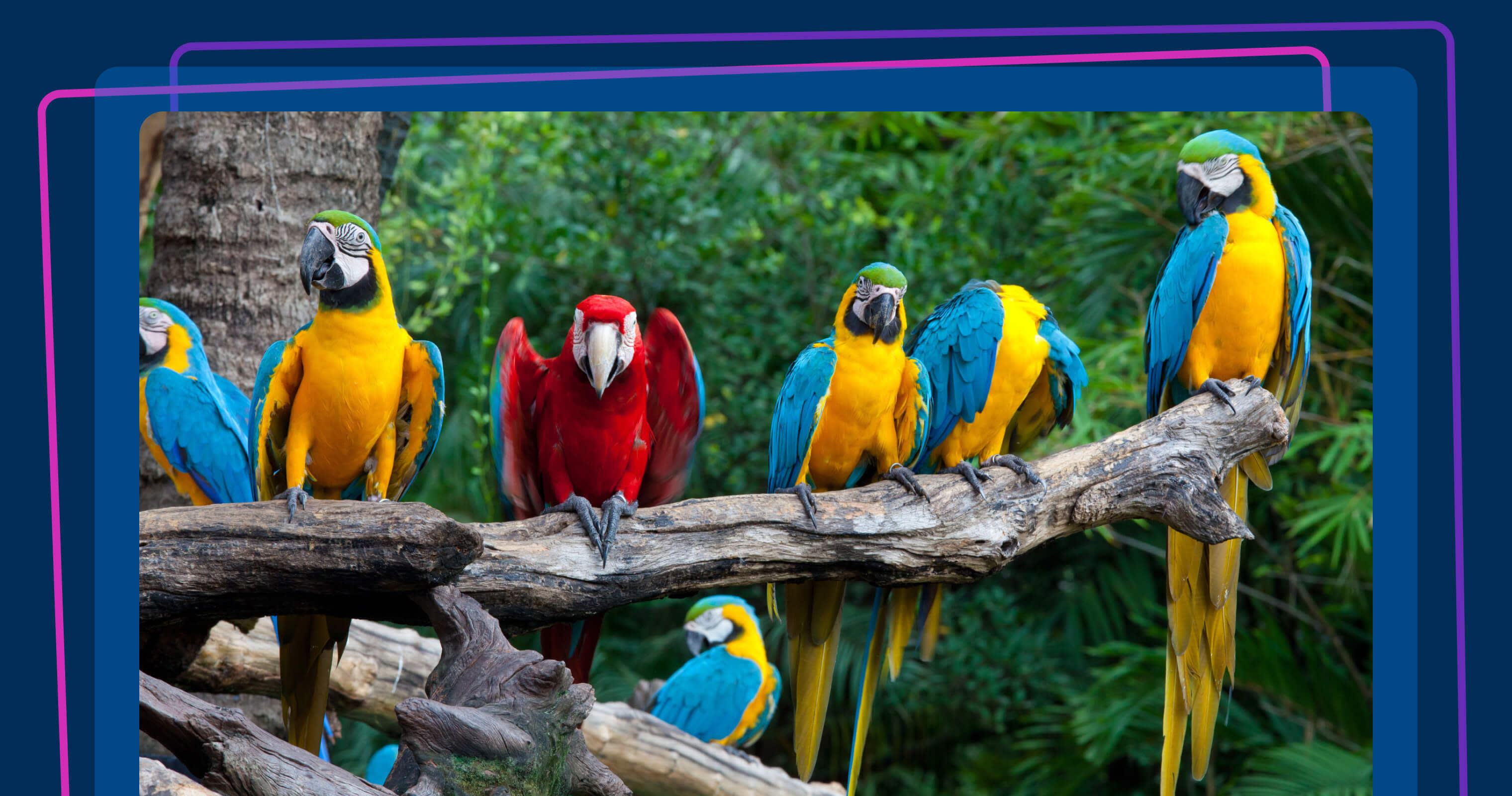 How product managers should collaborate with business stakeholders