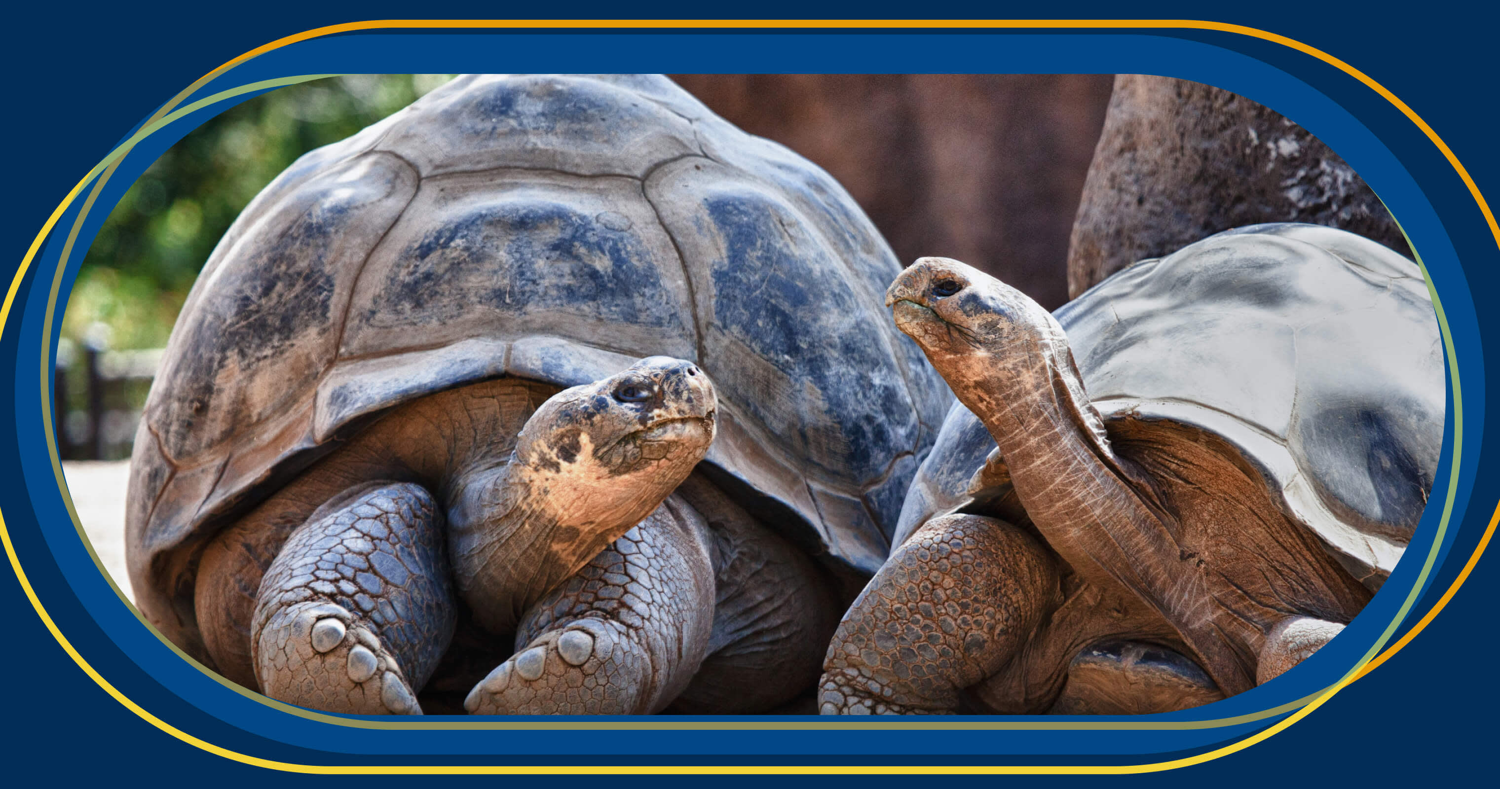 Customer interviews vs. customer feedback in product discovery