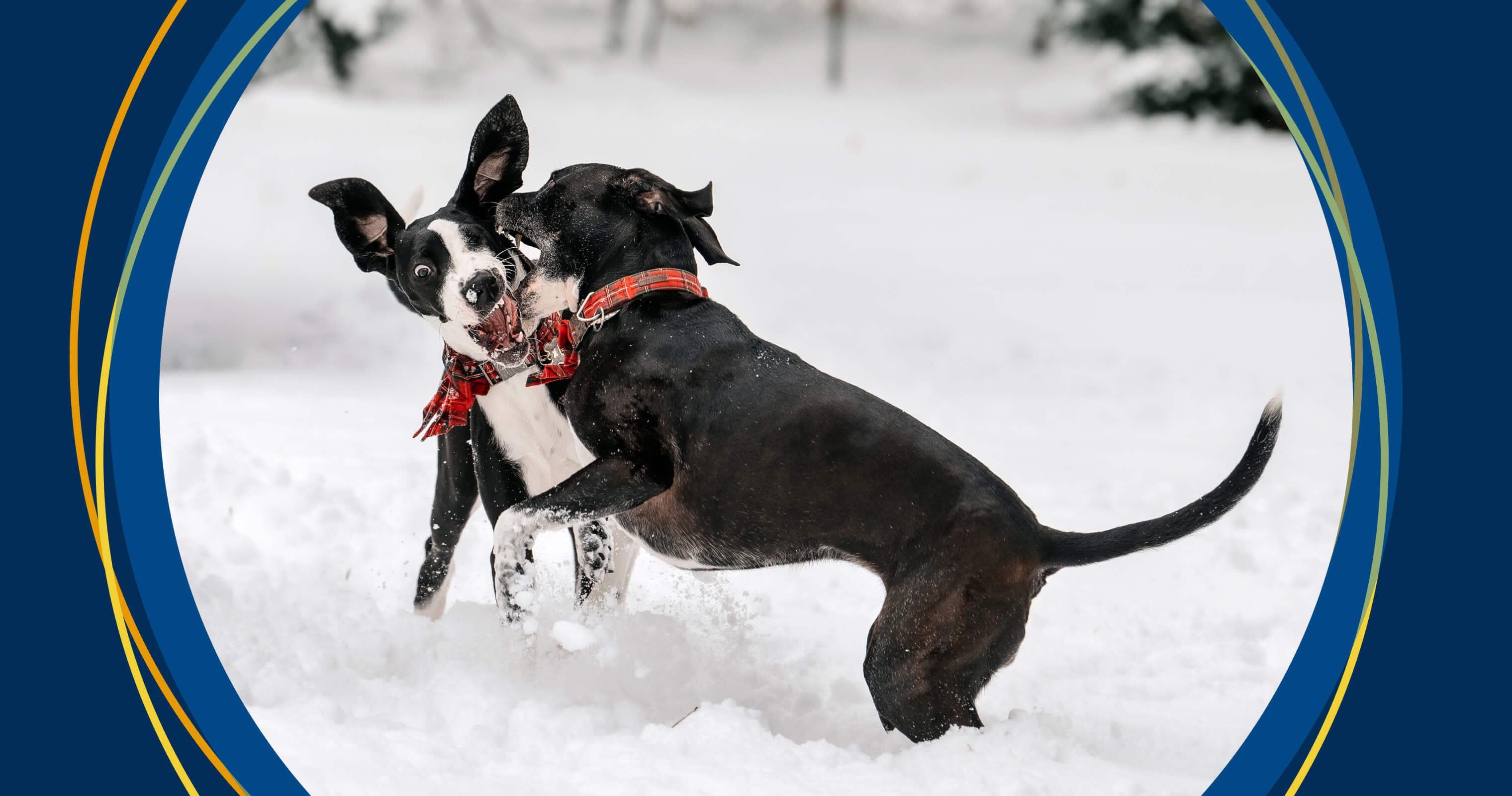 The surprising ways teams do product discovery