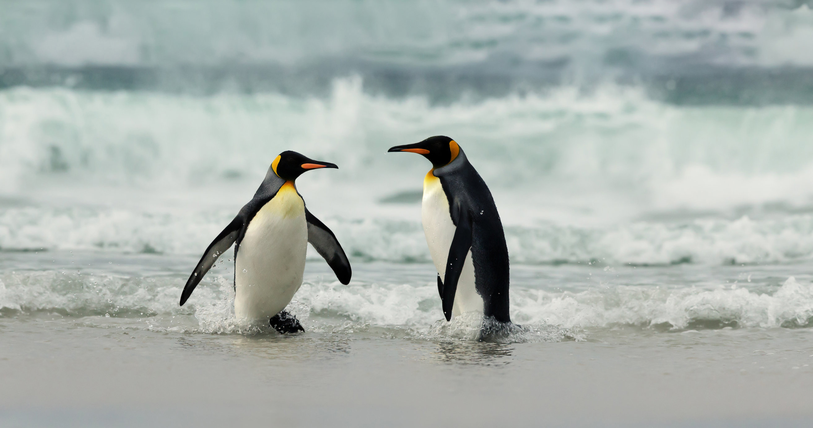 Ideas Overview - Featured articles - Slot 2