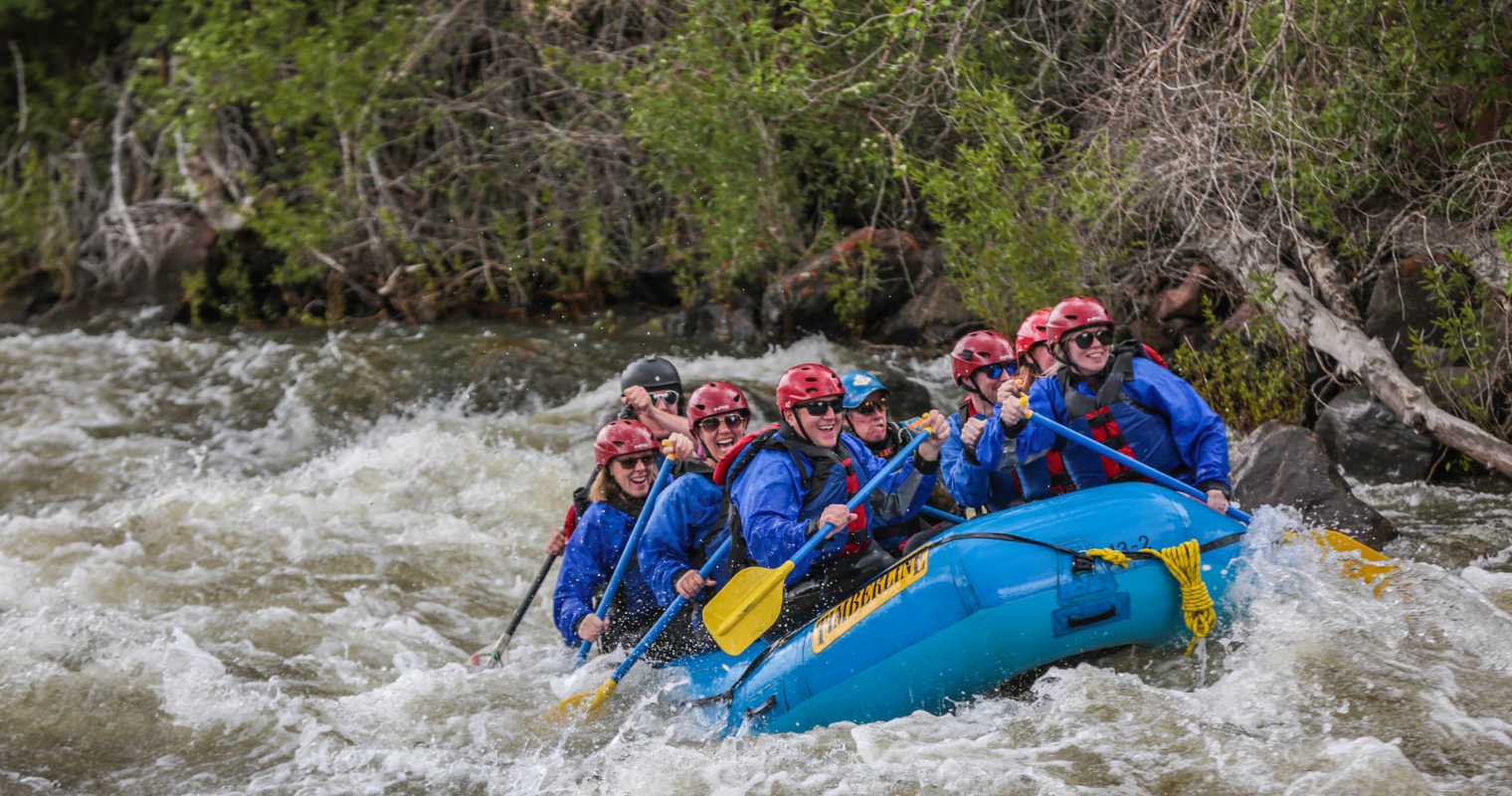 Related content - Does stakeholder alignment really matter?