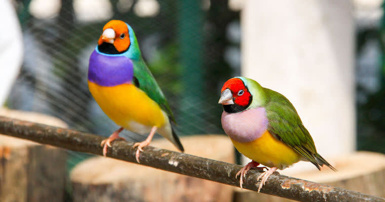 Team - Related content - Marketing strategy vs. go-to-market strategy