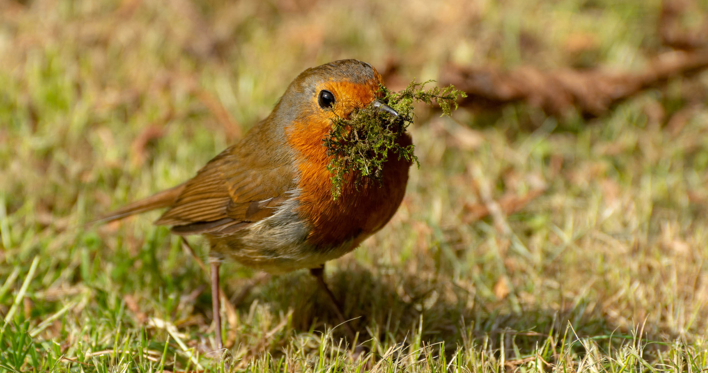 Related content - The One Metric Every Product Team Should Track (Yet Few Do) - Image