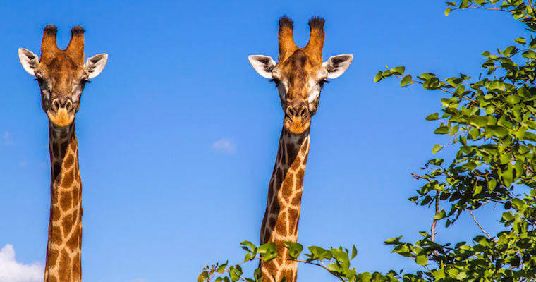 Positioning vs. Messaging