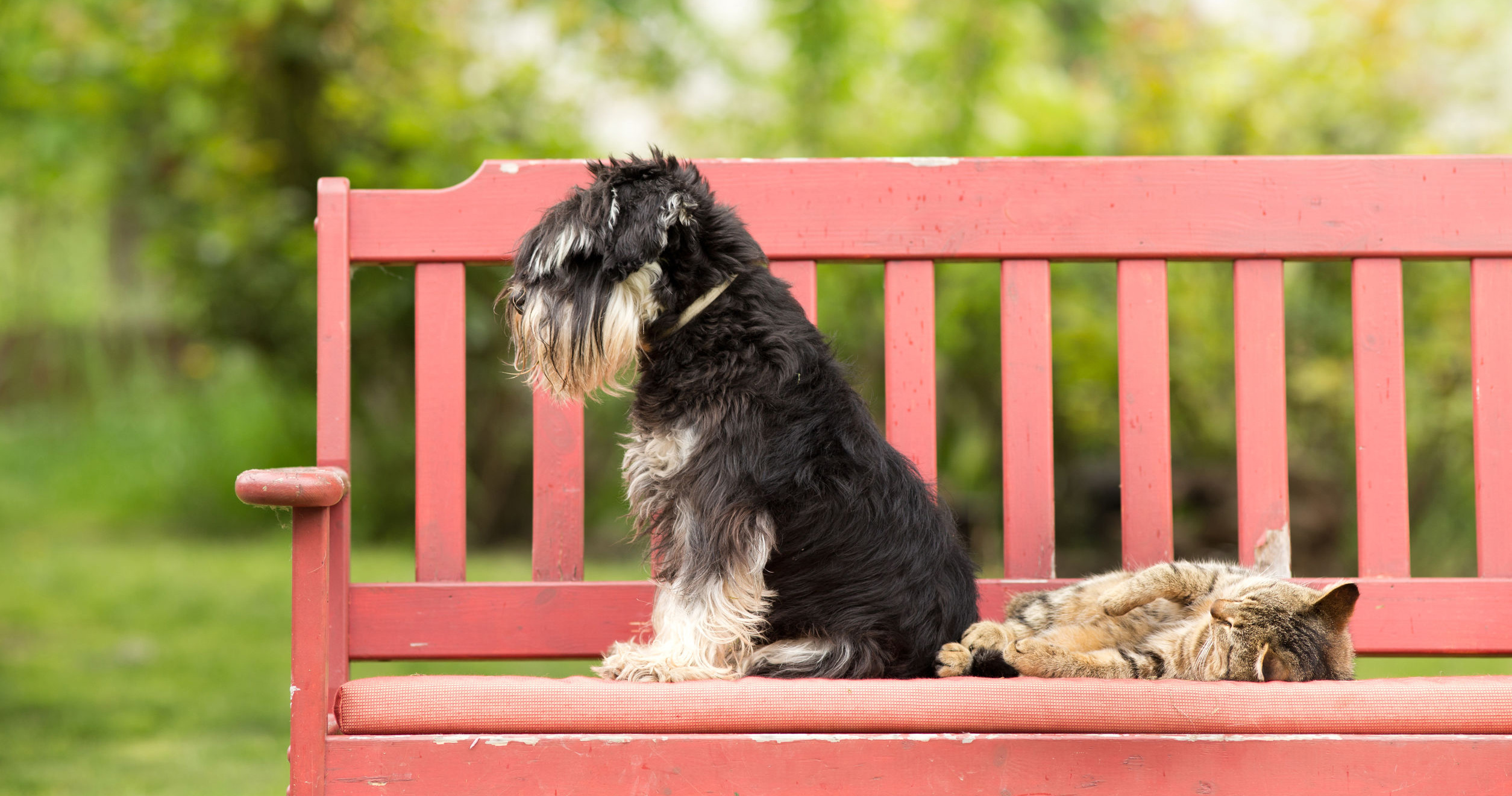 Use case - Related content - the product manager vs. the engineering manager hero