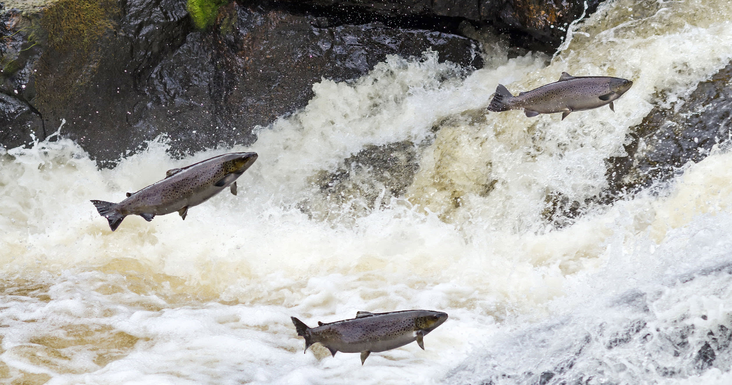 The 6 Principles of Strategic Product Roadmapping