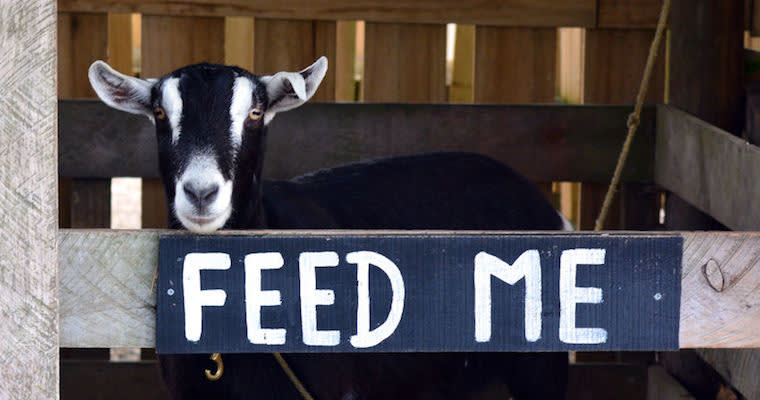 The Best Cover Letters That CEOs Love to Read 