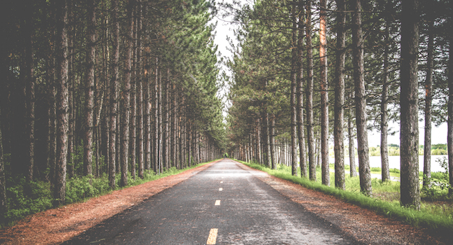 The best way to prioritize customer ideas on your roadmap - Image