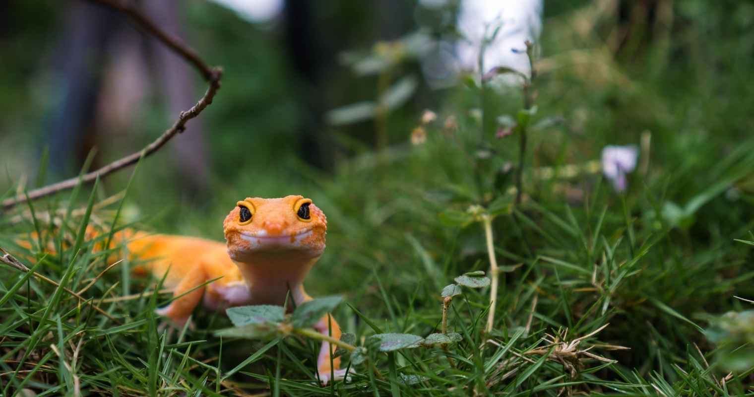 The two sides of product operations