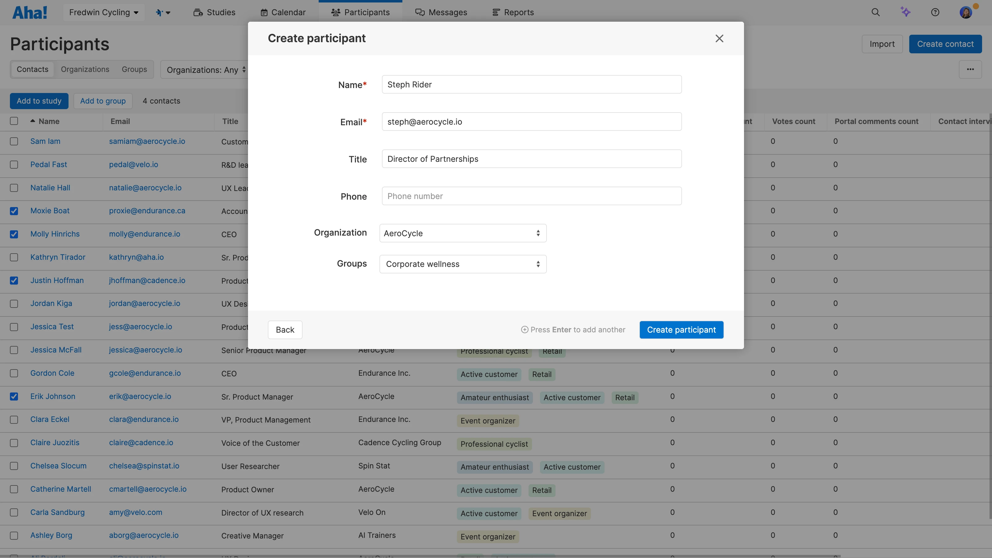 Create a participant with key details like title, organization, and group in Aha! Discovery