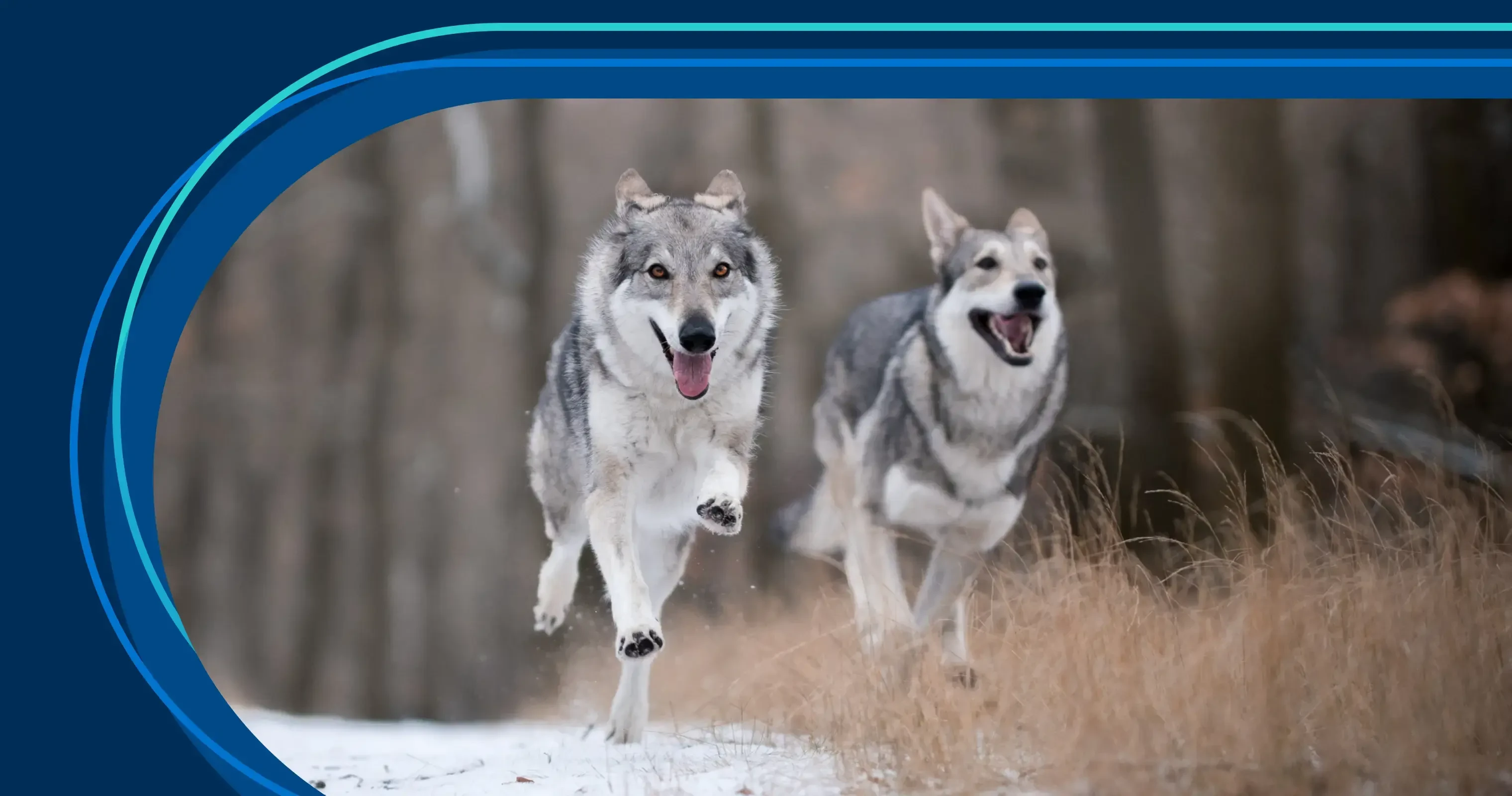 Who needs product operations?