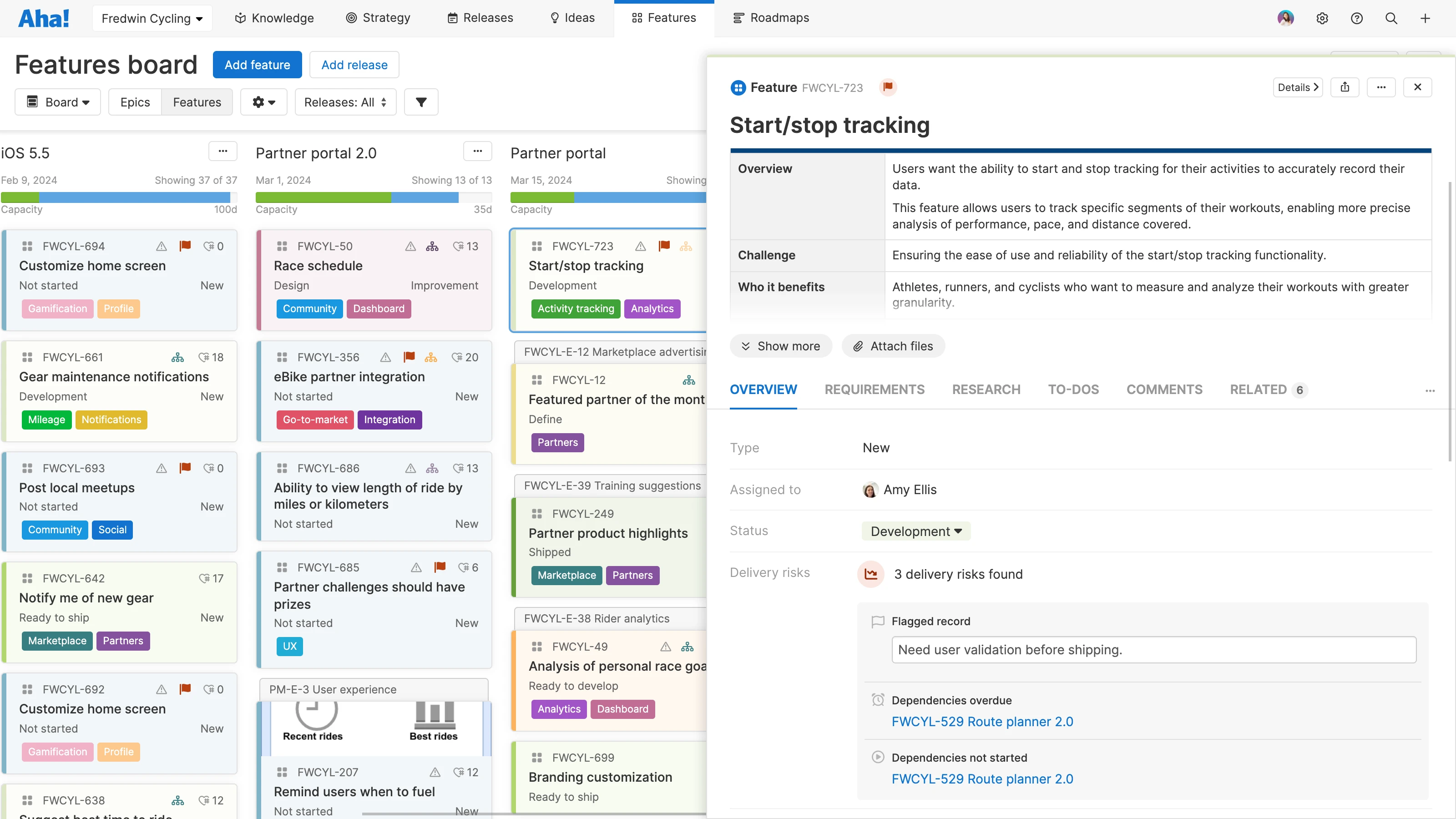Delivery risks on details drawer in Aha! Roadmaps