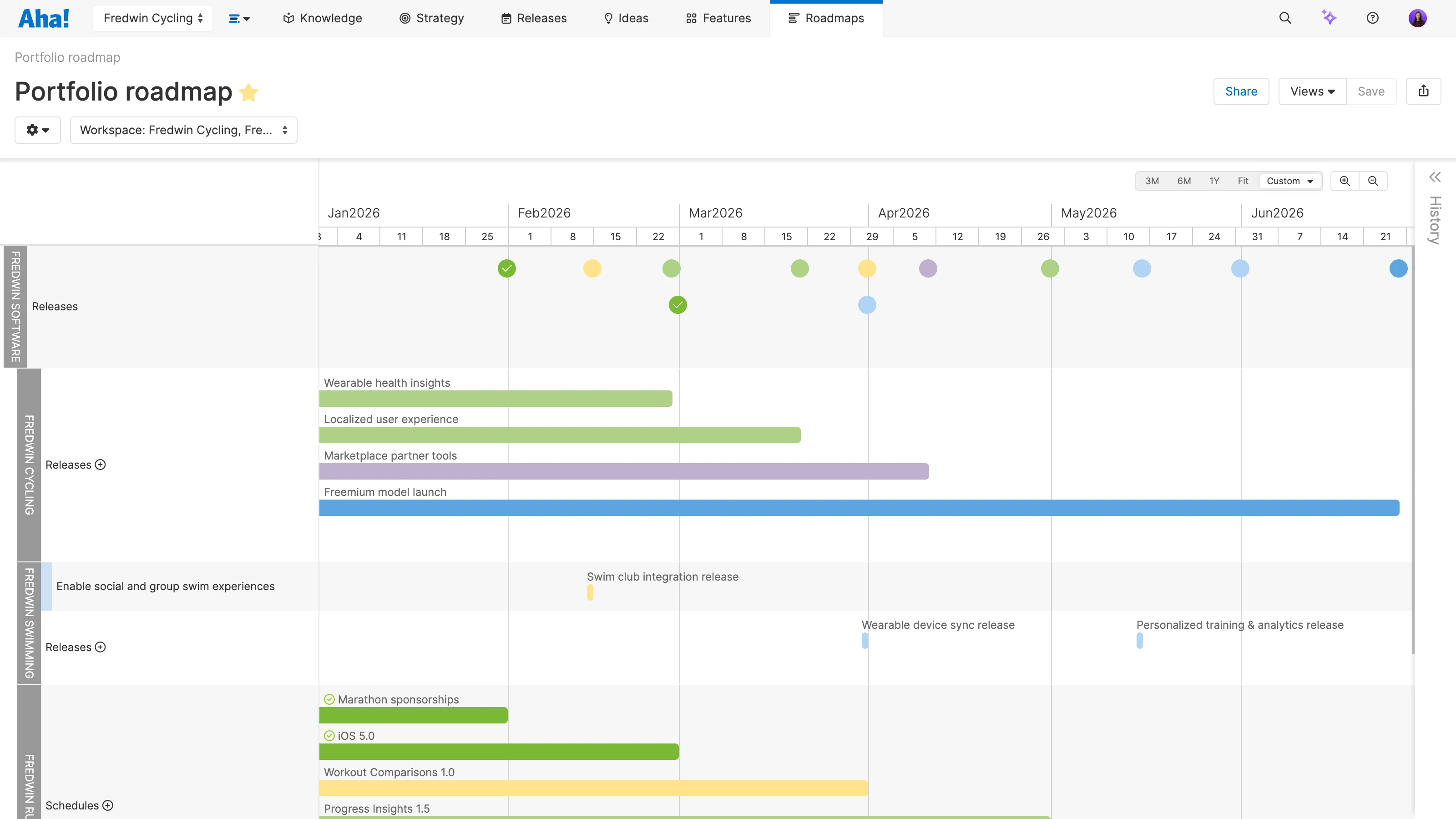 portfolio roadmap example